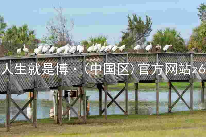 人生就是博·(中国区)官方网站z6